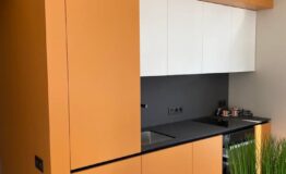 Project_2_Ksenia_Korkodola_4